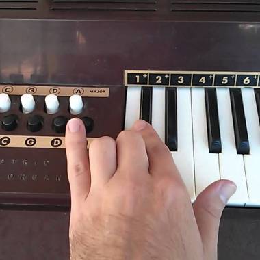 Magnus Hand Organ - note the buttons for chords on the left, I used to love playing with those.